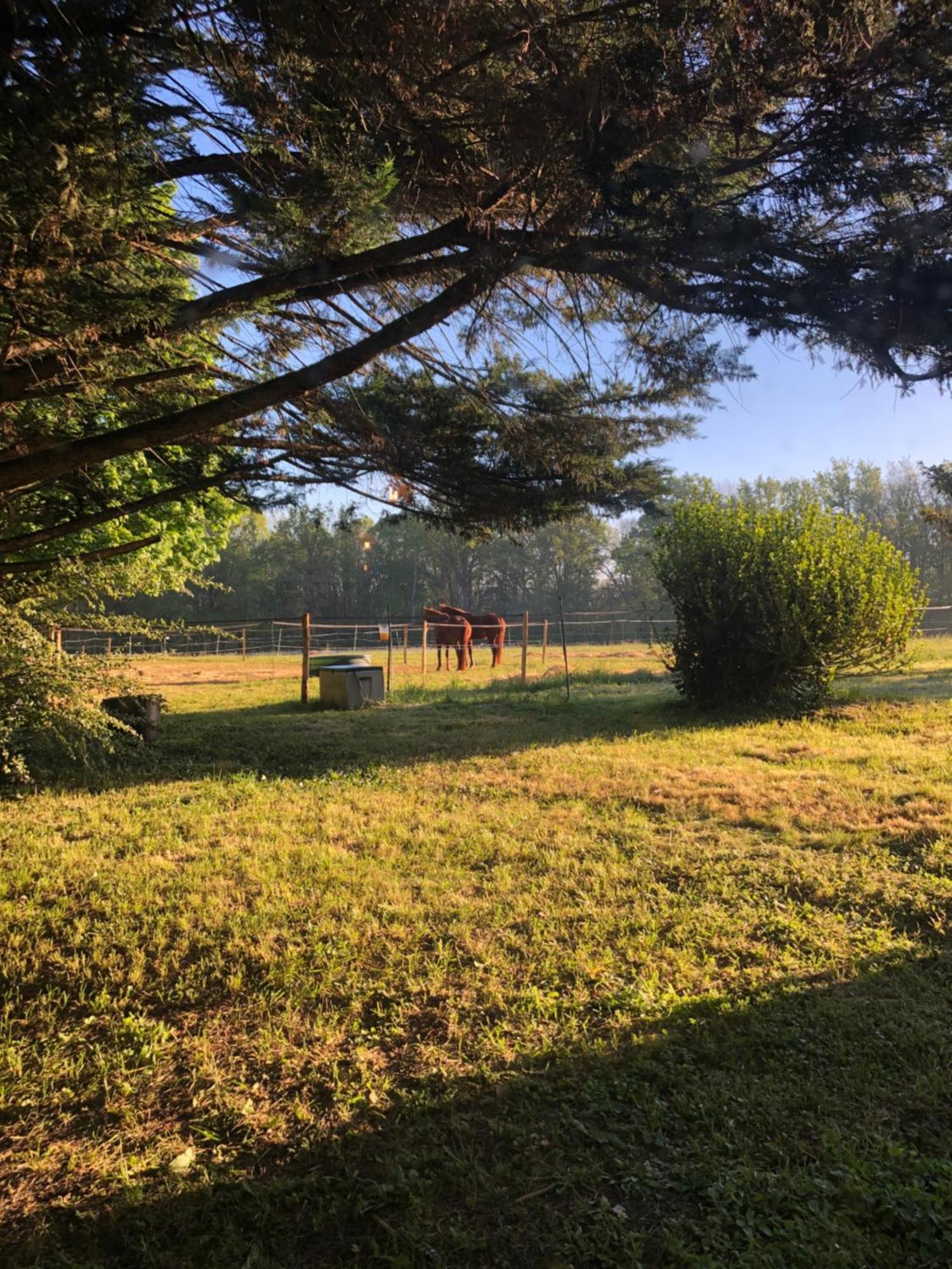 Le Mas Brantome Bed and Breakfast Esterno foto